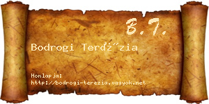 Bodrogi Terézia névjegykártya