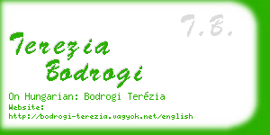 terezia bodrogi business card